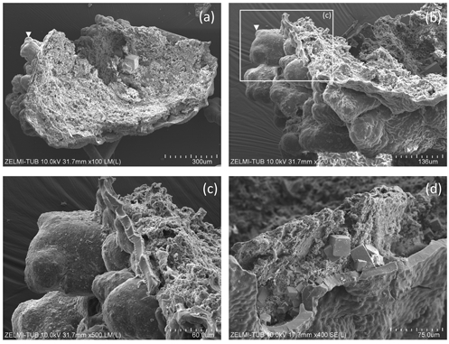 Это поразительно! В минералах из украинского кварцевого месторождения нашли микробы возрастом 1,5 млрд лет